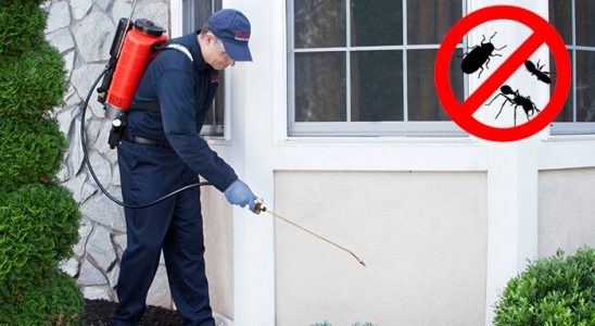 Tuzlukçu Bit İlaçlama böcek ilaçlama ve haşere kontrolü — ilaclama-tr.com